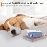 پروژکتور قابل حمل VOPLLS