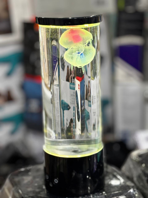 چراغ خواب و عروس دریایی