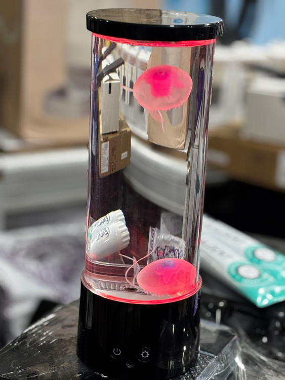 چراغ خواب و عروس دریایی