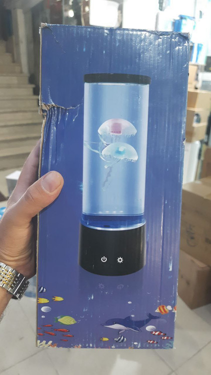 چراغ خواب و عروس دریایی