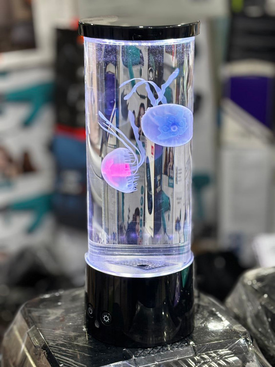 چراغ خواب و عروس دریایی