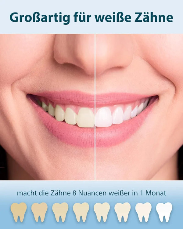 مسواک شارژی برند PHYLIAN مدل HH06015