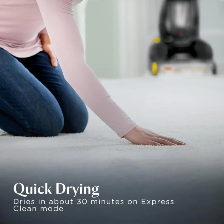 فرش شوی و موکت شوی بیسل مدل 2066E